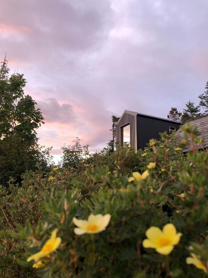 Tiny Home In Isle Of Skye-Pet Friendly Elgol エクステリア 写真