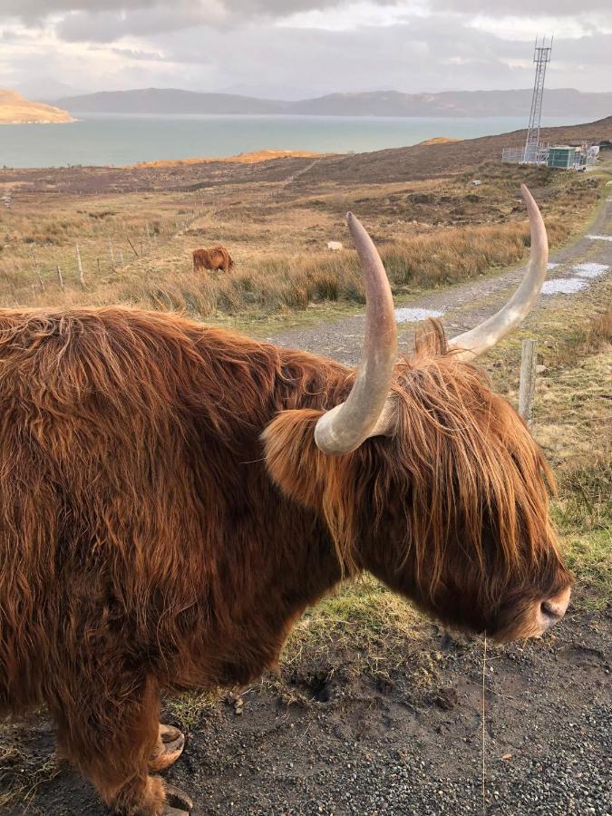 Tiny Home In Isle Of Skye-Pet Friendly Elgol エクステリア 写真